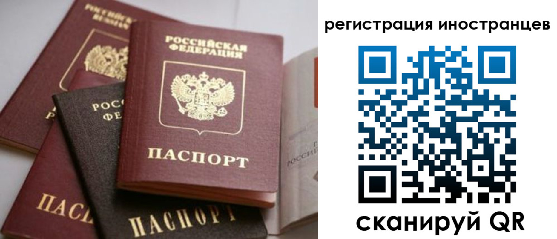 форма 3 в Светлом