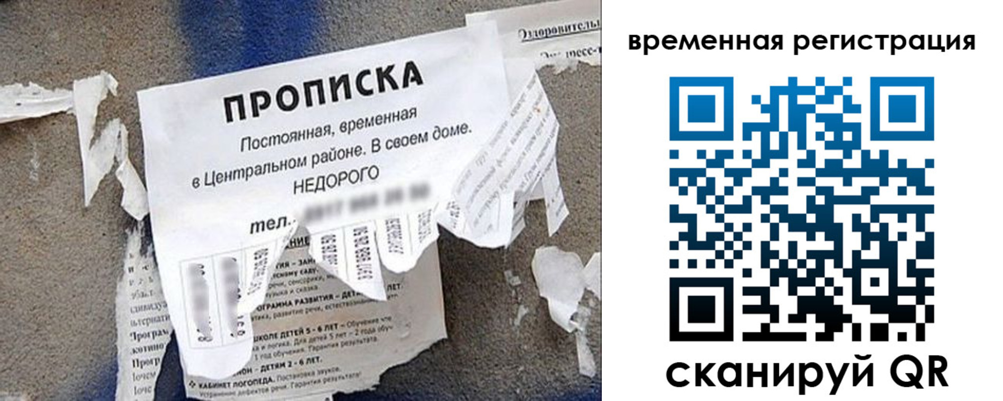 временная регистрация для всех в Светлом