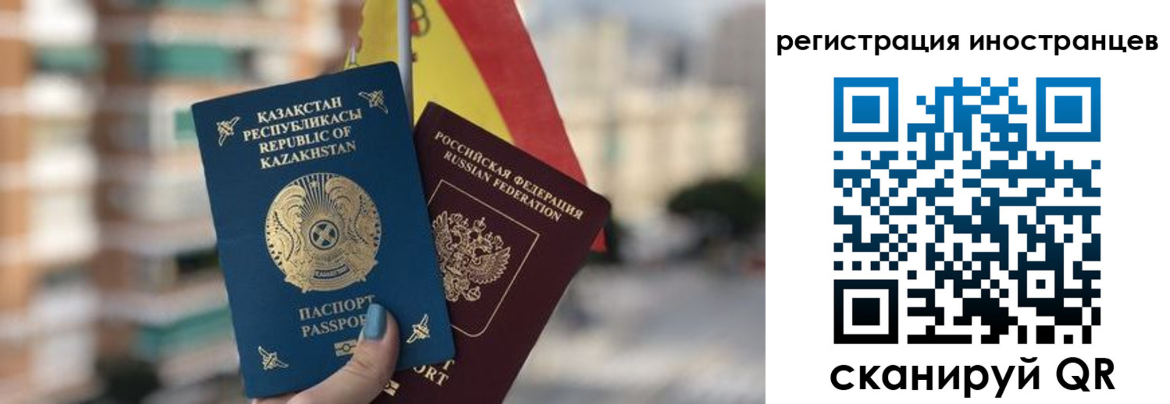 прописка паспорт в Светлом